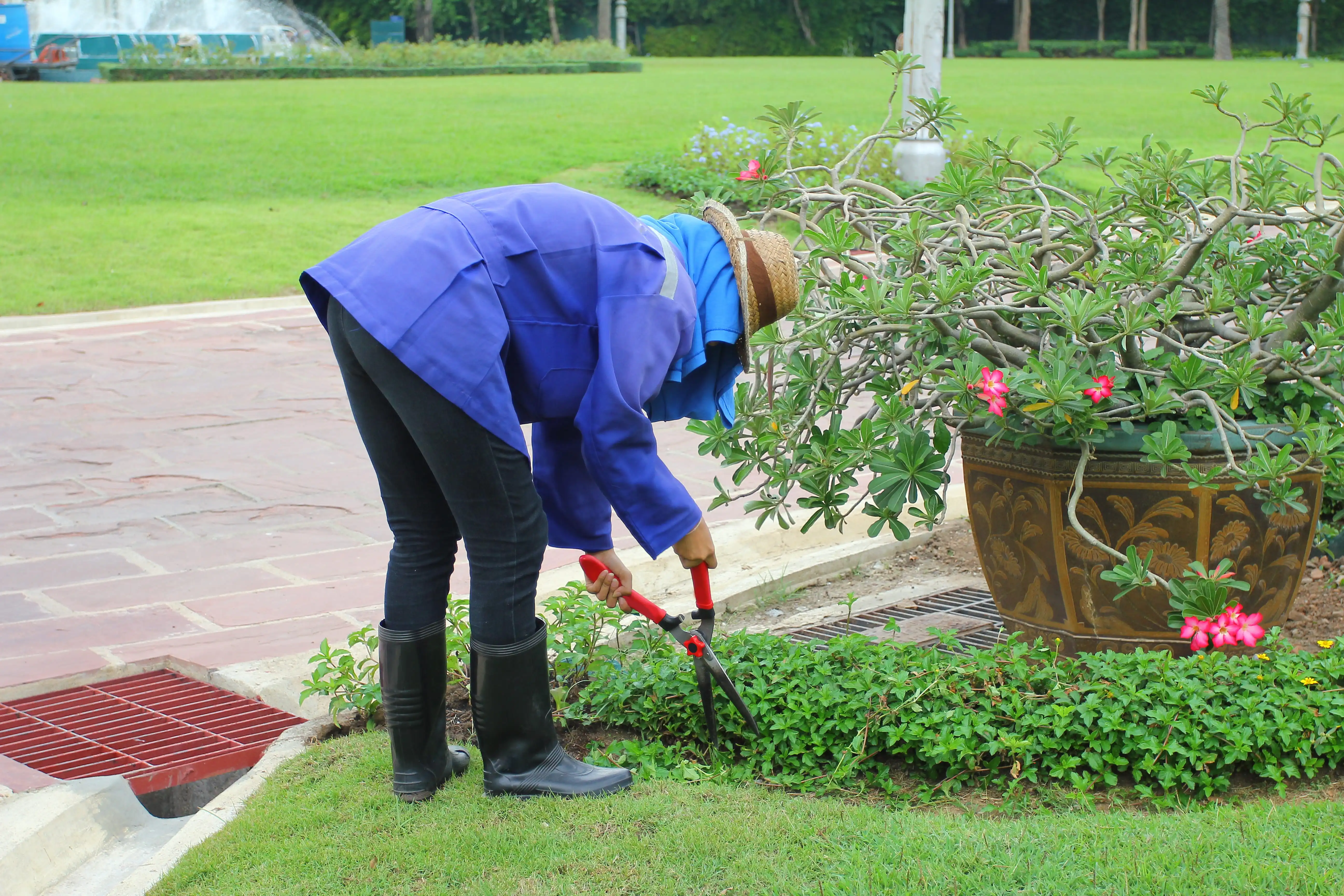 Dịch vụ vệ sinh Nhơn Việt.vn